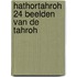 Hathortahroh 24 beelden van de tahroh