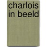 Charlois in beeld by Does