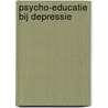 Psycho-educatie bij depressie door P.G. Delfgaauw