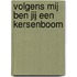 Volgens mij ben jij een kersenboom