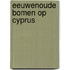Eeuwenoude bomen op Cyprus