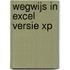 Wegwijs in Excel versie XP