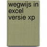 Wegwijs in Excel versie XP by T. De Geyter-Diependaele