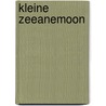 Kleine zeeanemoon door Stassaert