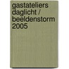 Gastateliers Daglicht / Beeldenstorm 2005 by N. van de Kamp