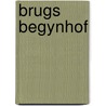 Brugs begynhof door Craenen