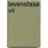 Levensfase VII door J. Wildenga