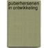 Puberhersenen in ontwikkeling