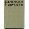 Puberhersenen in ontwikkeling door Hersenstichting Nederland