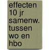 Effecten 10 jr samenw. tussen wo en hbo door Bob Polak