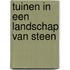 Tuinen in een landschap van steen