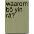 Waarom Bô Yin Râ?