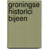 Groningse historici bijeen