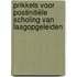 Prikkels voor postinitiële scholing van laagopgeleiden