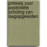Prikkels voor postinitiële scholing van laagopgeleiden door T. Schils