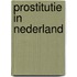 Prostitutie in nederland