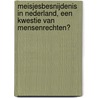 Meisjesbesnijdenis in Nederland, een kwestie van mensenrechten? by M. de Boer