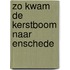 Zo kwam de kerstboom naar enschede