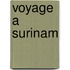 Voyage a surinam