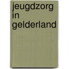 Jeugdzorg in Gelderland door V.G. van Dam