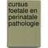 Cursus foetale en perinatale pathologie