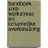 Handboek SMB werkstress en lichamelijke overbelasting