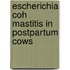 Escherichia coh mastitis in postpartum cows