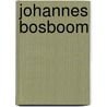 Johannes Bosboom by C.H. Dinkelaar