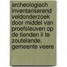 Archeologisch Inventariserend Veldonderzoek door middel van proefsleuven op de Tienden II te Zoutelande, gemeente Veere door B. Silkens