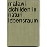 Malawi cichliden in naturl. lebensraum by Konings