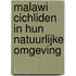 Malawi cichliden in hun natuurlijke omgeving