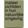 Malawi cichliden in hun natuurlijke omgeving door A. Konings