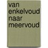 Van enkelvoud naar meervoud