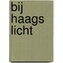 Bij Haags licht