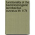 Functionality of the bacteriocinogenic lactobacillus curvatus LTH 1174