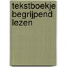 Tekstboekje begrijpend lezen door R. Termaat