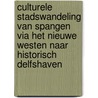 Culturele stadswandeling van Spangen via het Nieuwe Westen naar historisch Delfshaven by R. van Meer