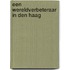 Een Wereldverbeteraar in Den Haag