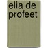 Elia de profeet