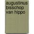 Augustinus bisschop van hippo