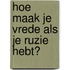 Hoe maak je vrede als je ruzie hebt?