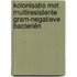 Kolonisatie met multiresistente gram-negatieve bacteriën