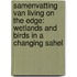 Samenvatting van Living on the edge: wetlands and birds in a changing Sahel