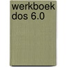 Werkboek dos 6.0 door Vriesema