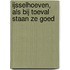 IJsselhoeven, als bij toeval staan ze goed