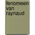 Fenomeen van Raynaud