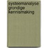 Systeemanalyse grondige kennismaking