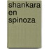 Shankara en Spinoza