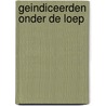Geindiceerden onder de loep by P. Rijnders