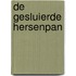 De gesluierde hersenpan